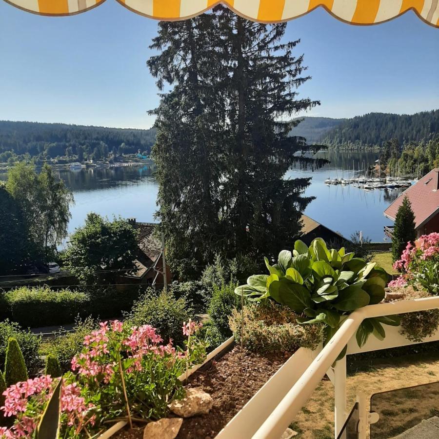Sunside Ferien Wellness Oase Hotel Apartment'S Schwarzwald Am Schluchsee Eksteriør bilde